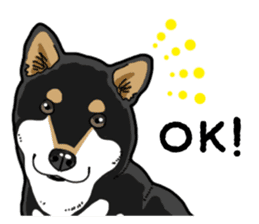 Daily Black Shiba Inu 4 sticker #14385306