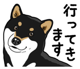 Daily Black Shiba Inu 4 sticker #14385307