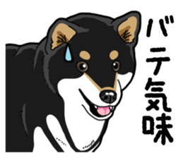 Daily Black Shiba Inu 4 sticker #14385308