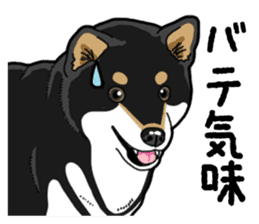 Daily Black Shiba Inu 4 sticker #14385308