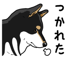 Daily Black Shiba Inu 4 sticker #14385309