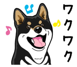 Daily Black Shiba Inu 4 sticker #14385310