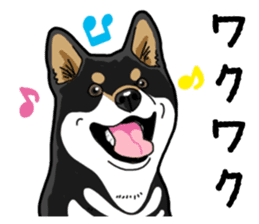 Daily Black Shiba Inu 4 sticker #14385310