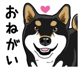 Daily Black Shiba Inu 4 sticker #14385311