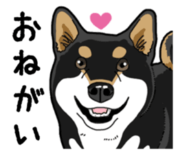 Daily Black Shiba Inu 4 sticker #14385311