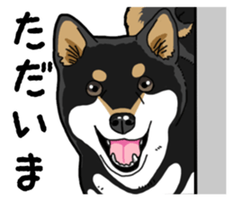 Daily Black Shiba Inu 4 sticker #14385312