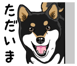 Daily Black Shiba Inu 4 sticker #14385312