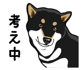 Daily Black Shiba Inu 4 sticker #14385313