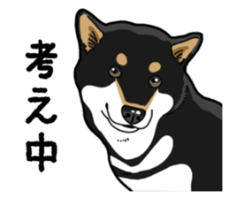 Daily Black Shiba Inu 4 sticker #14385313
