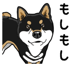 Daily Black Shiba Inu 4 sticker #14385314