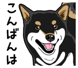Daily Black Shiba Inu 4 sticker #14385316