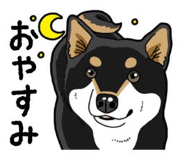 Daily Black Shiba Inu 4 sticker #14385317