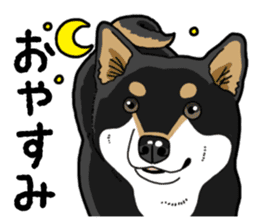 Daily Black Shiba Inu 4 sticker #14385317