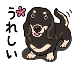 Daily Miniature Dachshund No.2 sticker #14385638