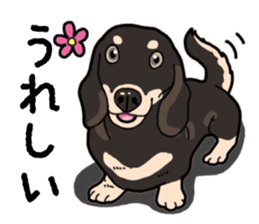 Daily Miniature Dachshund No.2 sticker #14385638