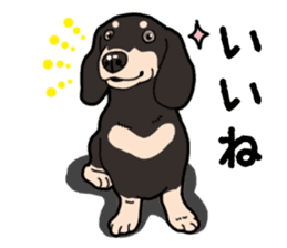 Daily Miniature Dachshund No.2 sticker #14385639