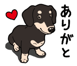Daily Miniature Dachshund No.2 sticker #14385641