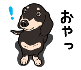 Daily Miniature Dachshund No.2 sticker #14385643