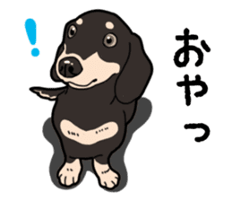 Daily Miniature Dachshund No.2 sticker #14385643