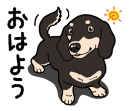 Daily Miniature Dachshund No.2 sticker #14385644