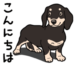 Daily Miniature Dachshund No.2 sticker #14385645