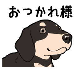 Daily Miniature Dachshund No.2 sticker #14385646