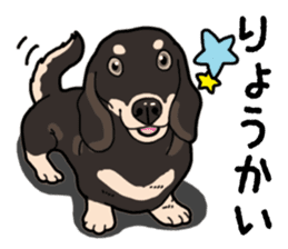Daily Miniature Dachshund No.2 sticker #14385648