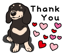 Daily Miniature Dachshund No.2 sticker #14385649