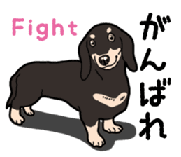 Daily Miniature Dachshund No.2 sticker #14385650