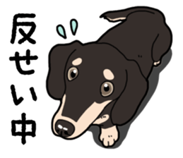 Daily Miniature Dachshund No.2 sticker #14385652