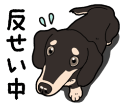 Daily Miniature Dachshund No.2 sticker #14385652