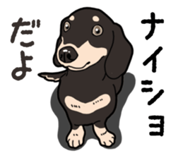 Daily Miniature Dachshund No.2 sticker #14385653