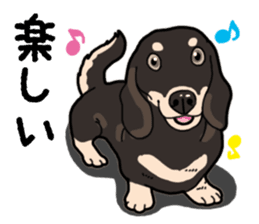 Daily Miniature Dachshund No.2 sticker #14385658