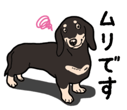Daily Miniature Dachshund No.2 sticker #14385660