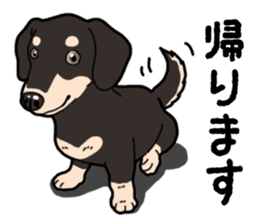 Daily Miniature Dachshund No.2 sticker #14385661