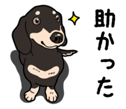 Daily Miniature Dachshund No.2 sticker #14385663