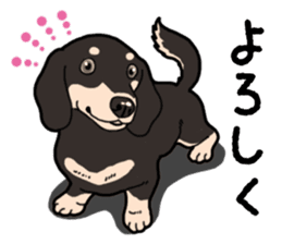 Daily Miniature Dachshund No.2 sticker #14385664