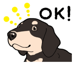 Daily Miniature Dachshund No.2 sticker #14385666