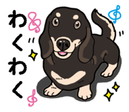 Daily Miniature Dachshund No.2 sticker #14385668