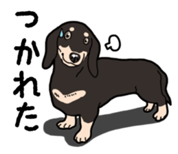 Daily Miniature Dachshund No.2 sticker #14385670