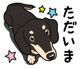 Daily Miniature Dachshund No.2 sticker #14385672