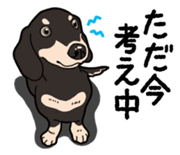 Daily Miniature Dachshund No.2 sticker #14385673