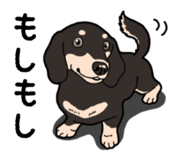 Daily Miniature Dachshund No.2 sticker #14385674