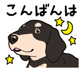 Daily Miniature Dachshund No.2 sticker #14385676