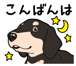 Daily Miniature Dachshund No.2 sticker #14385676