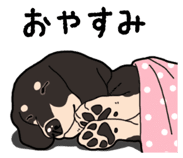 Daily Miniature Dachshund No.2 sticker #14385677