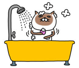 siam-neko mark 3 sticker #14385744