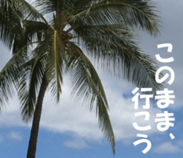 Hawaii's sticker sticker #14386303