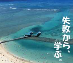 Hawaii's sticker sticker #14386306