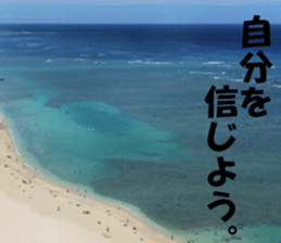 Hawaii's sticker sticker #14386308